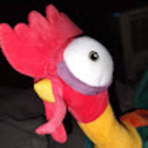 Meet your Posher, Brandi